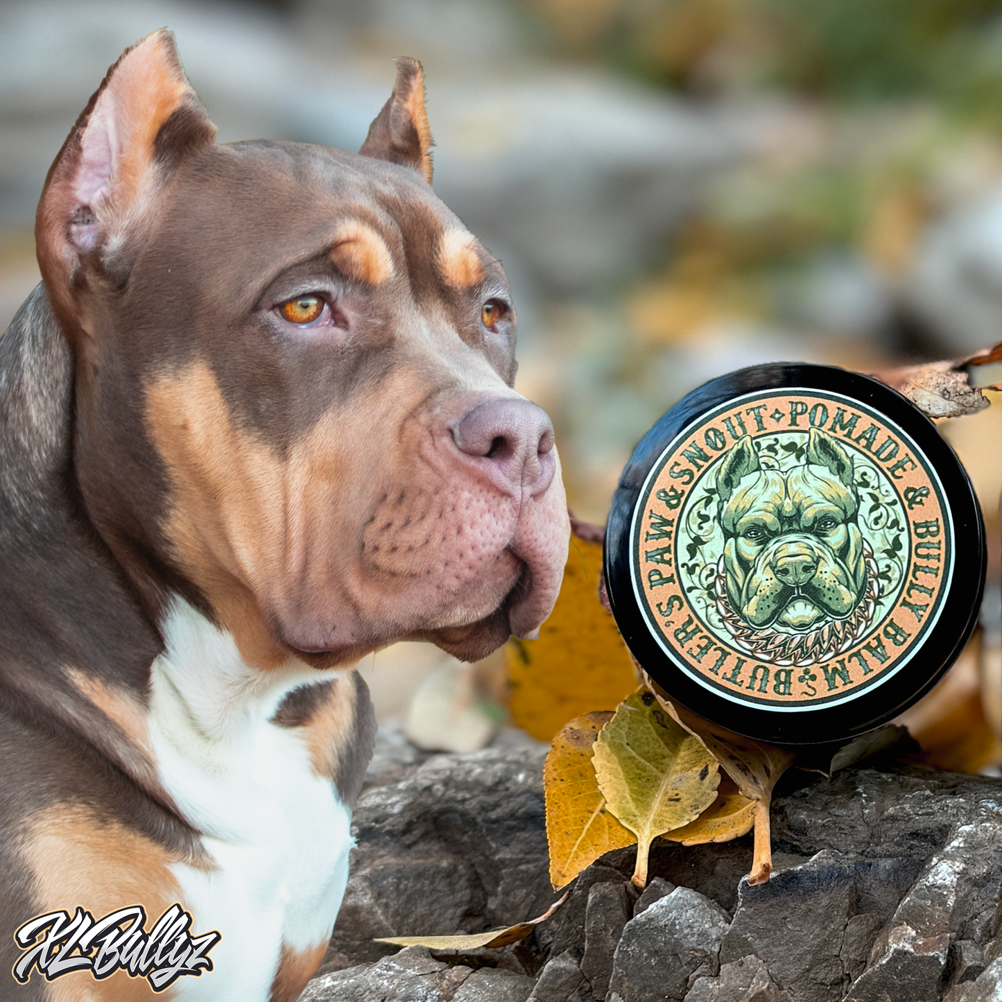 Premium Paw Balm